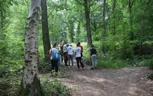 648f089474d77_DSC0014.JPG