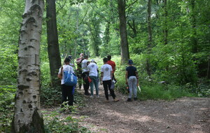 648f089593dd8_DSC0015.JPG